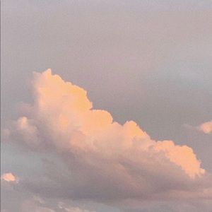 Meet your Posher, Eva